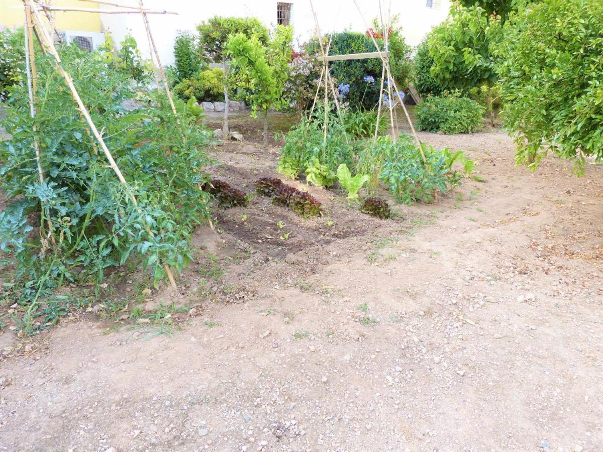 Вілла Hort De La Cinteta Alcover Екстер'єр фото